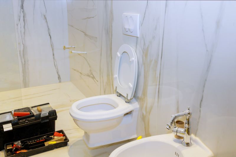 Modern Toilet Installations