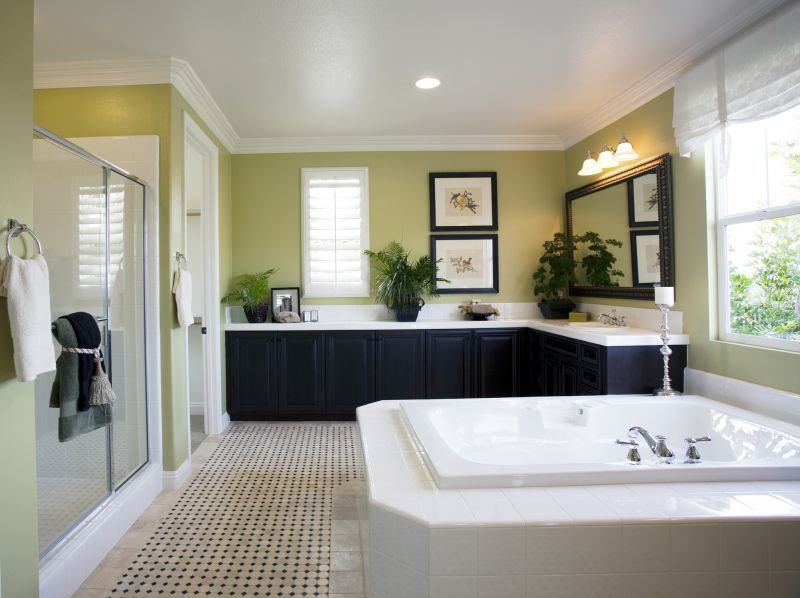 Modern Tub Choices